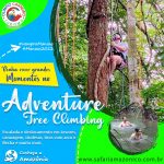 Leia mais sobre o artigo Passeio Adventure Tree Climbing